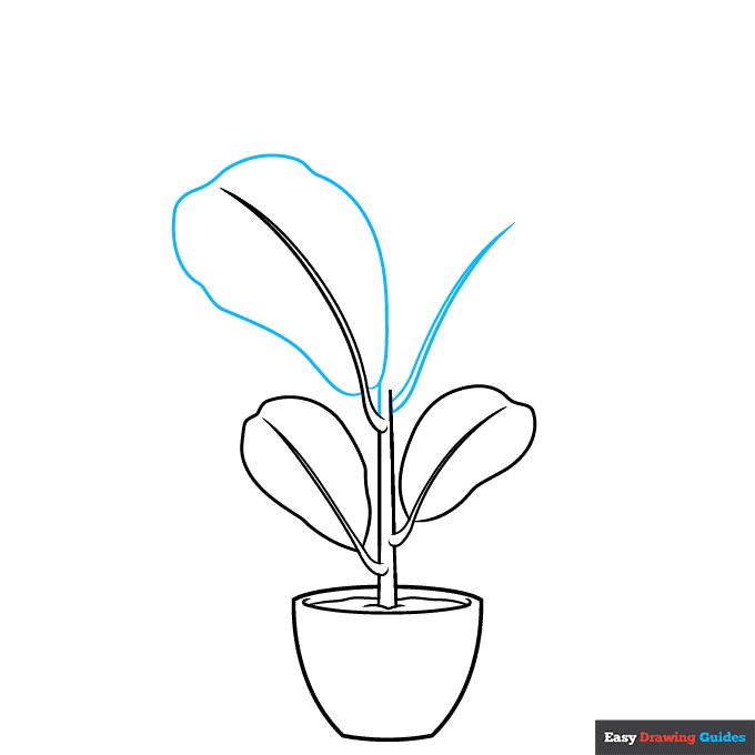 Fiddle Leaf Fig step-by-step drawing tutorial: step 4