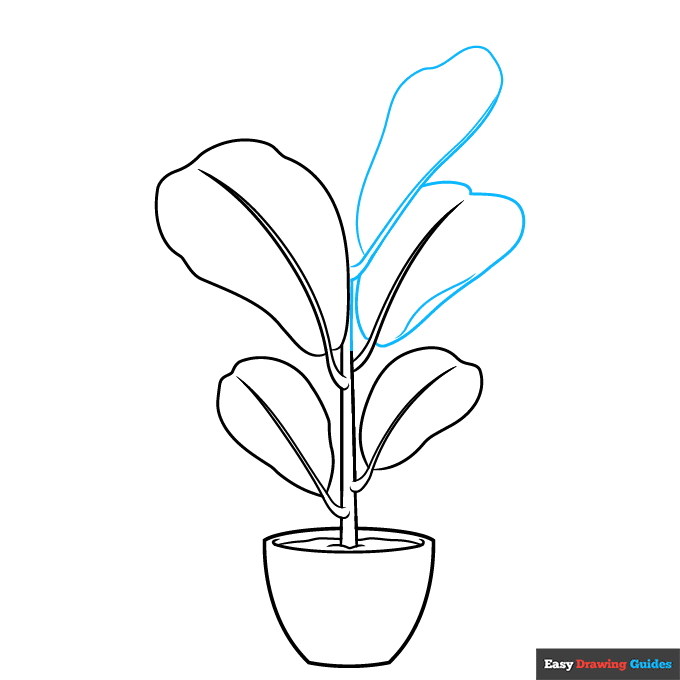 Fiddle Leaf Fig step-by-step drawing tutorial: step 5