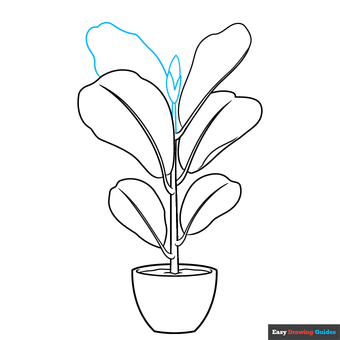 Fiddle Leaf Fig step-by-step drawing tutorial: step 6