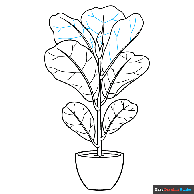 Fiddle Leaf Fig step-by-step drawing tutorial: step 9