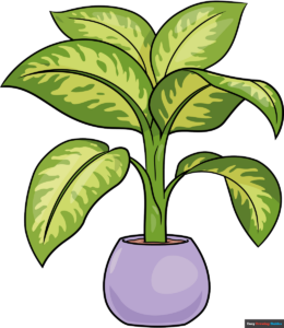 How to Draw a Dumb Cane Plant Featured Image