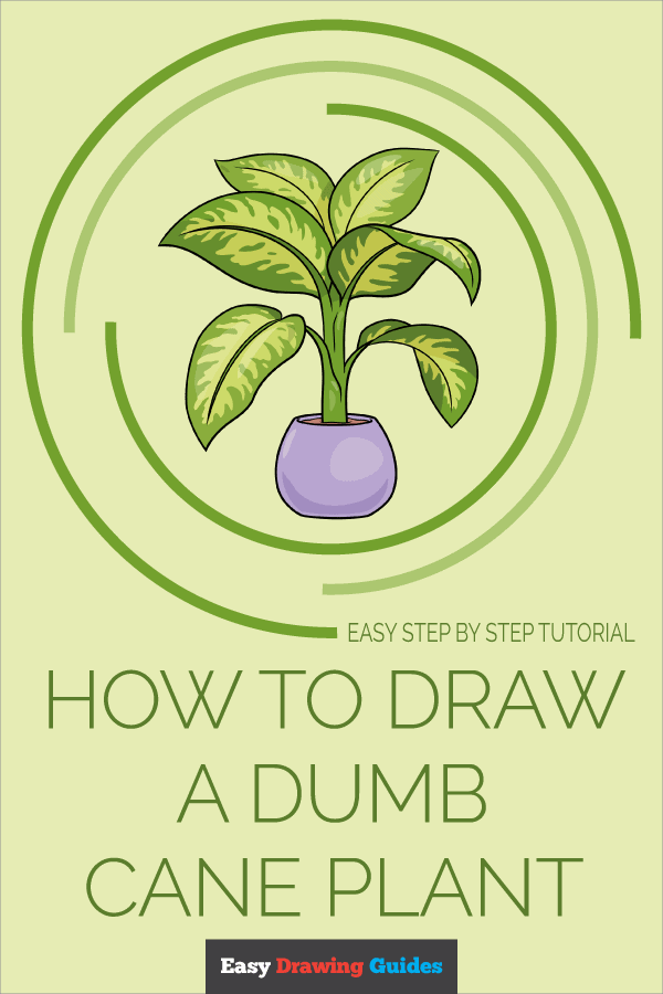 How to Draw a Dumb Cane Plant Pinterest Image