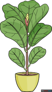 How to Draw a Fiddle Leaf Fig Featured Image