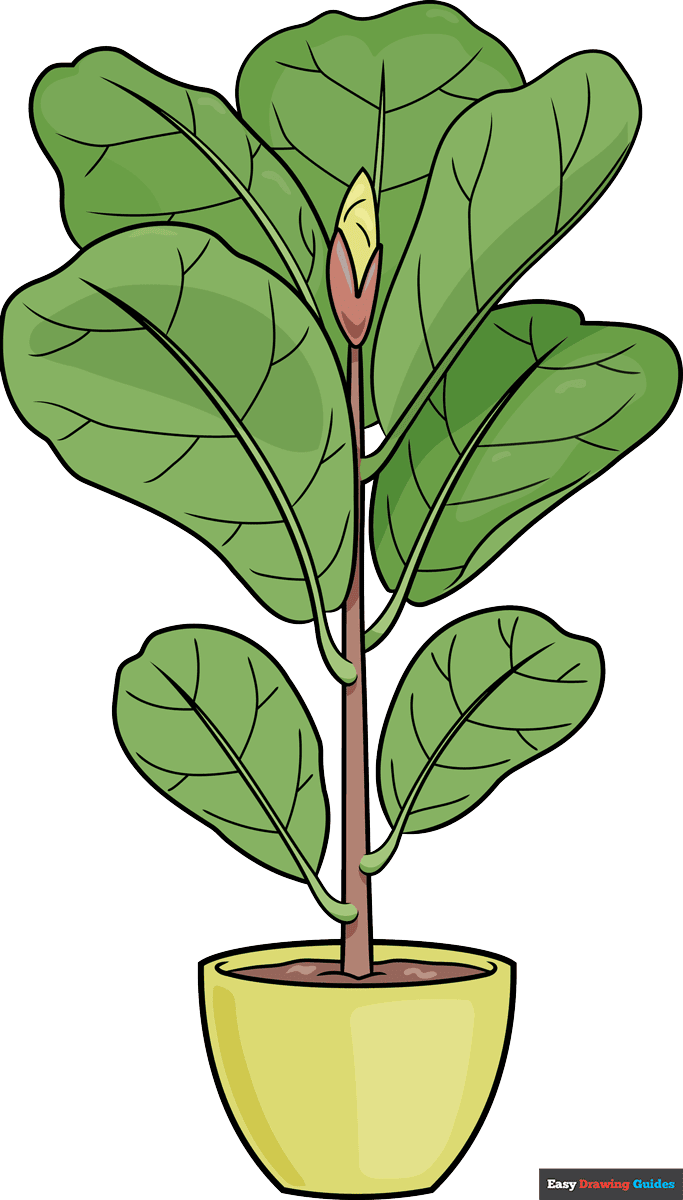 How to Draw a Fiddle Leaf Fig Featured Image