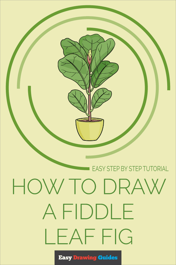 How to Draw a Fiddle Leaf Fig Pinterest Image