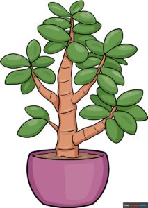 How to Draw a Jade Plant Featured Image
