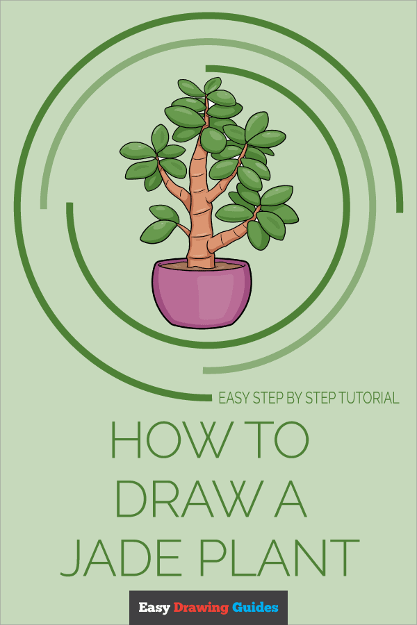 How to Draw a Jade Plant Pinterest Image