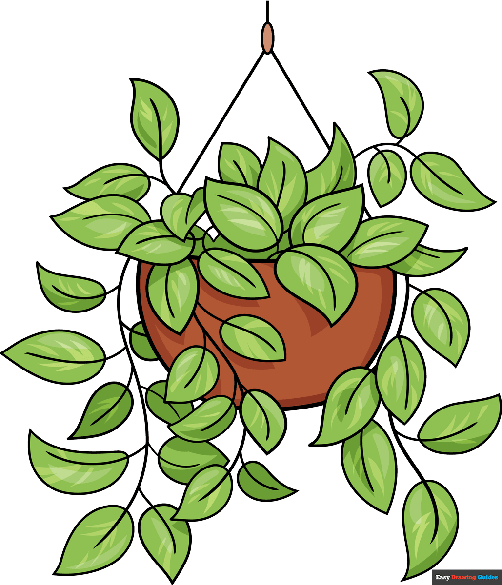 How to Draw a Pothos Plant Featured Image