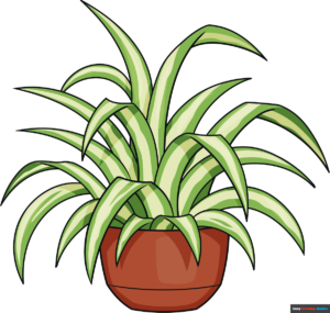 How to Draw a Spider Plant Featured Image