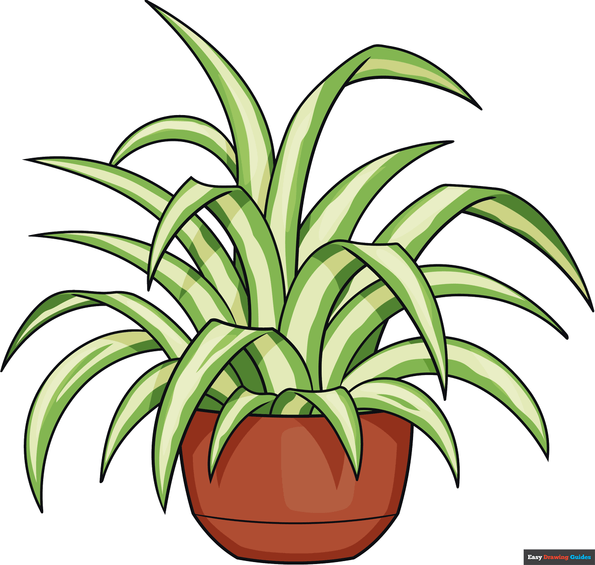How to Draw a Spider Plant Featured Image