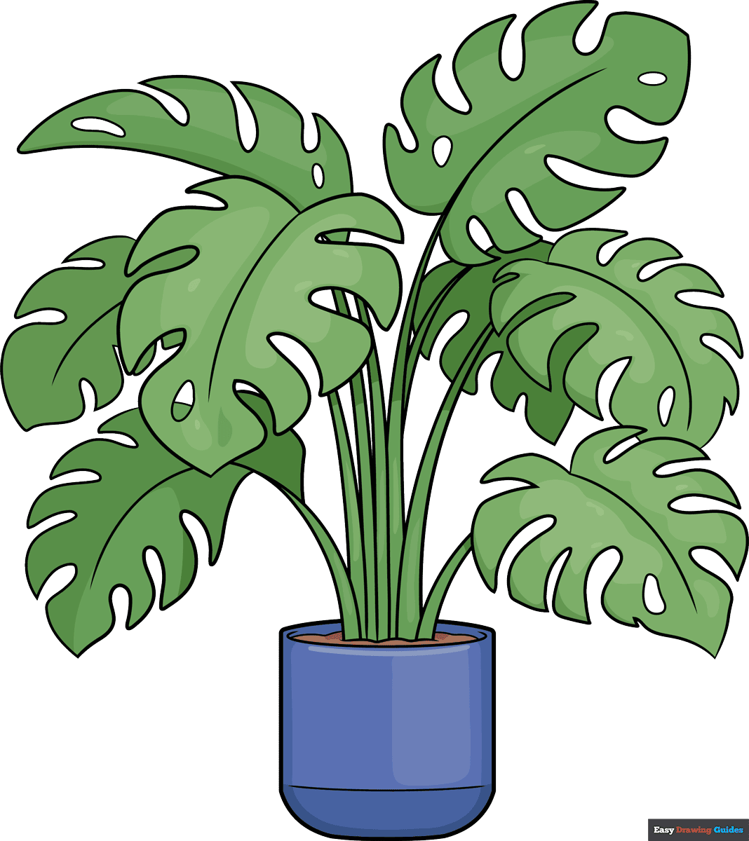 How to Draw a Swiss Cheese Plant Featured Image