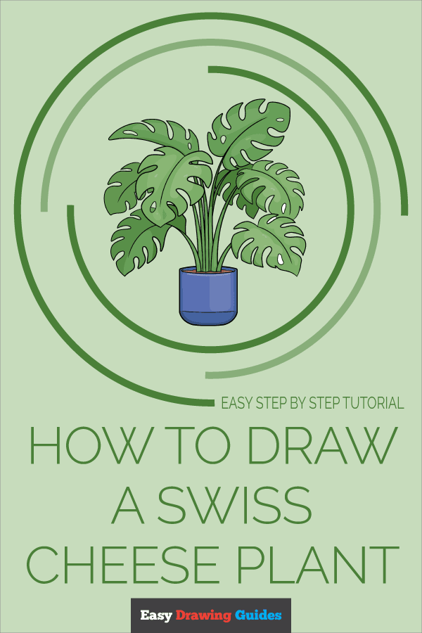 How to Draw a Swiss Cheese Plant Pinterest Image