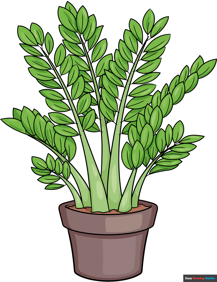 How to Draw a ZZ Plant Featured Image
