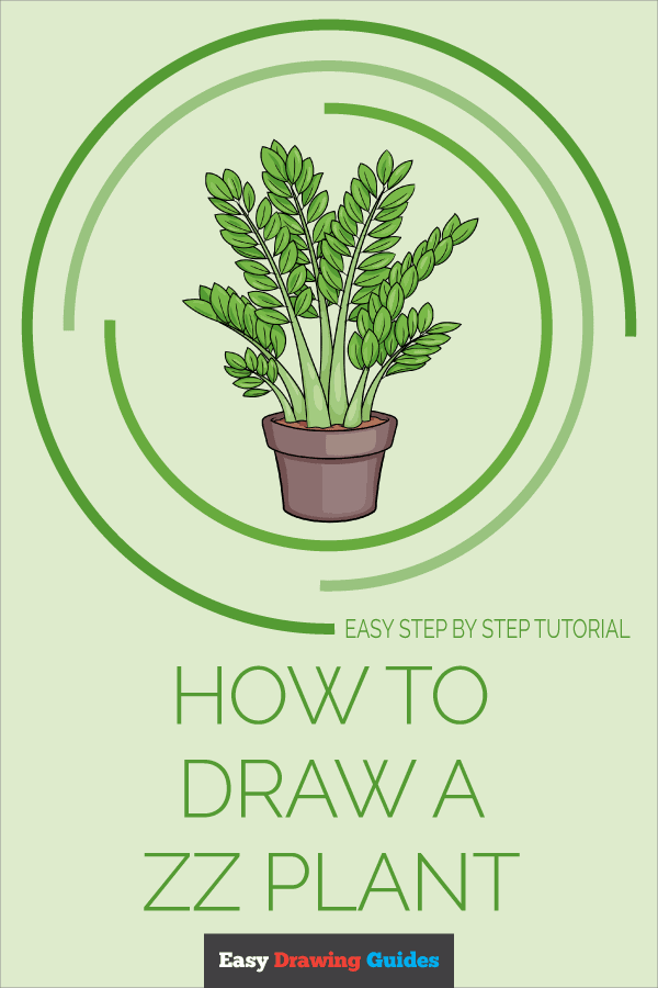 How to Draw a ZZ Plant Pinterest Image