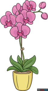 How to Draw an Orchid in a Pot Featured Image