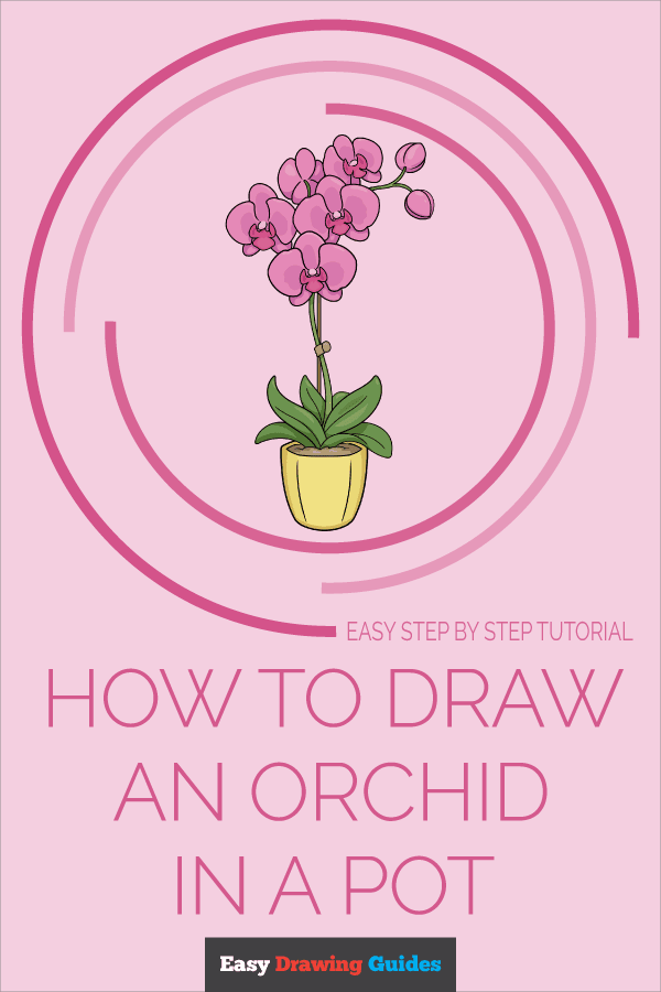How to Draw an Orchid in a Pot Pinterest Image