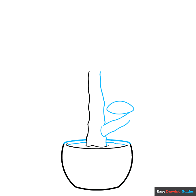 Jade Plant step-by-step drawing tutorial: step 2
