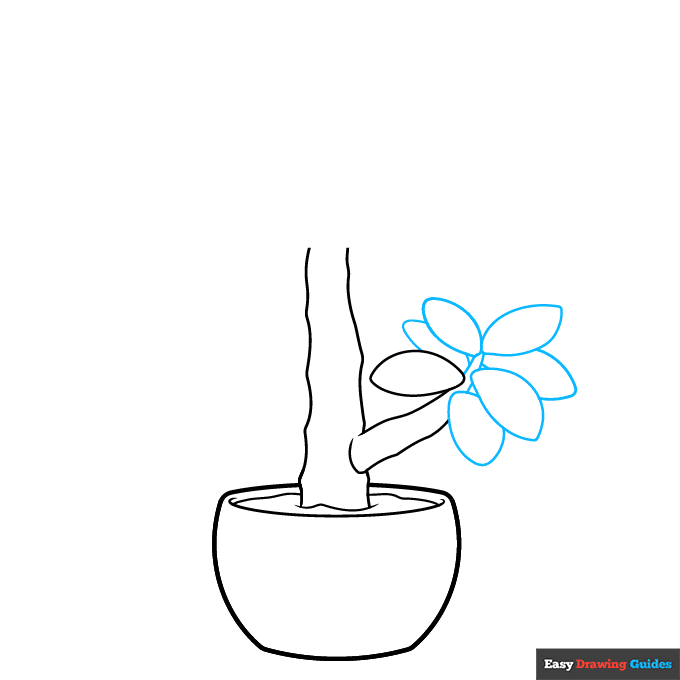 Jade Plant step-by-step drawing tutorial: step 3