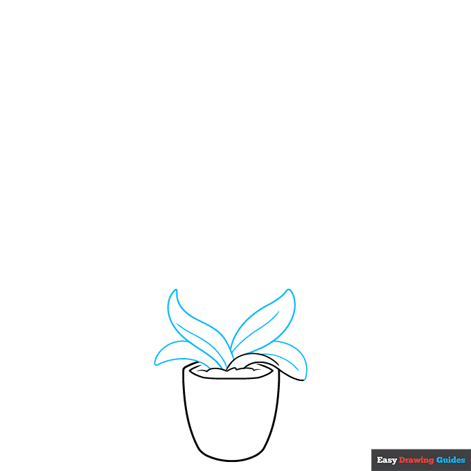 Orchid in a Pot step-by-step drawing tutorial: step 2