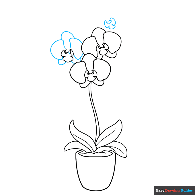 Orchid in a Pot step-by-step drawing tutorial: step 6