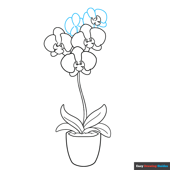 Orchid in a Pot step-by-step drawing tutorial: step 7