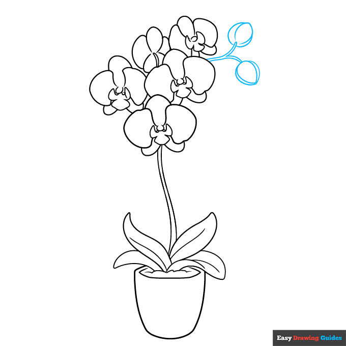 Orchid in a Pot step-by-step drawing tutorial: step 8