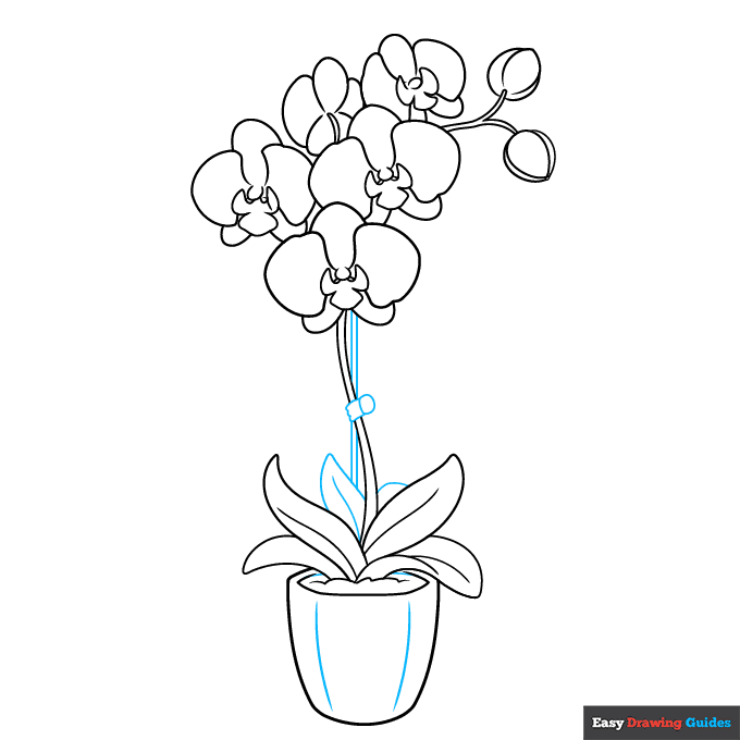 Orchid in a Pot step-by-step drawing tutorial: step 9