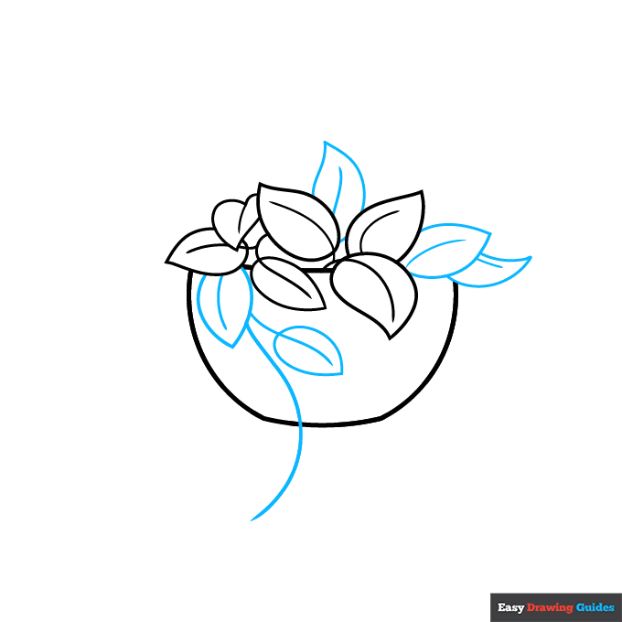 Pothos Plant step-by-step drawing tutorial: step 3