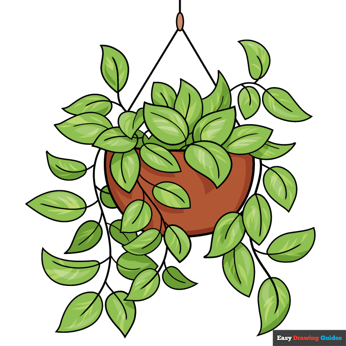 Pothos Plant step-by-step drawing tutorial: step 11
