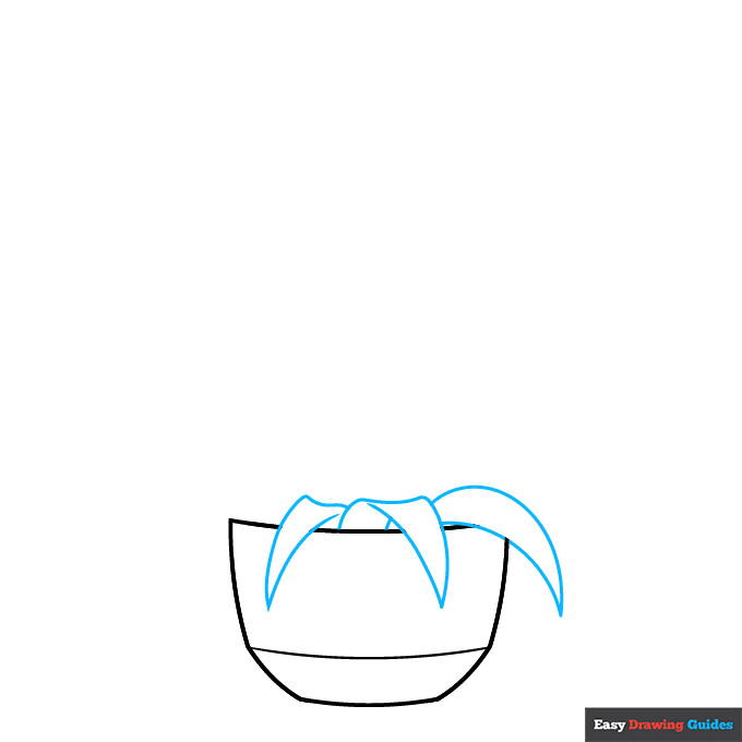 Spider Plant step-by-step drawing tutorial: step 2