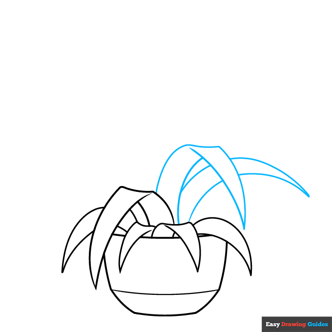 Spider Plant step-by-step drawing tutorial: step 4