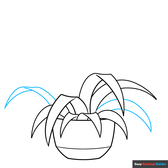 Spider Plant step-by-step drawing tutorial: step 5