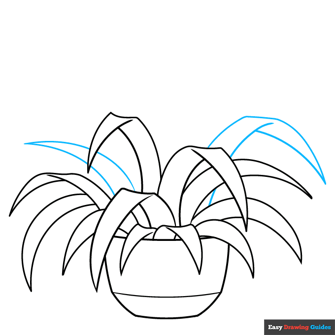 Spider Plant step-by-step drawing tutorial: step 7