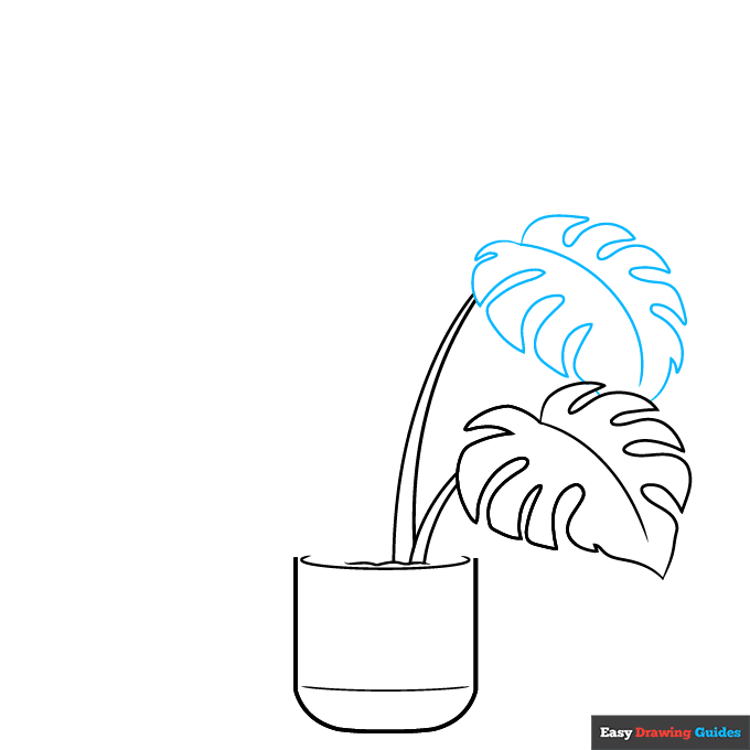 Swiss Cheese Plant step-by-step drawing tutorial: step 3