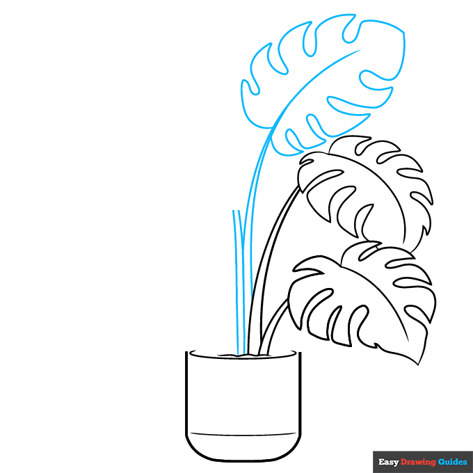 Swiss Cheese Plant step-by-step drawing tutorial: step 4