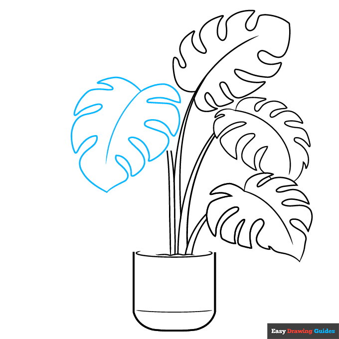 Swiss Cheese Plant step-by-step drawing tutorial: step 5