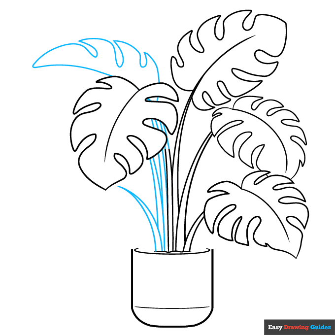 Swiss Cheese Plant step-by-step drawing tutorial: step 6