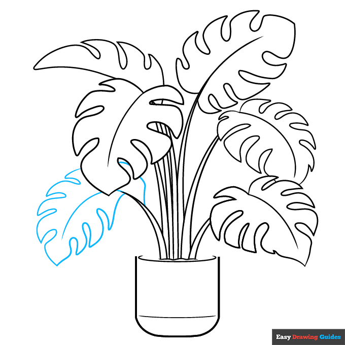 Swiss Cheese Plant step-by-step drawing tutorial: step 7