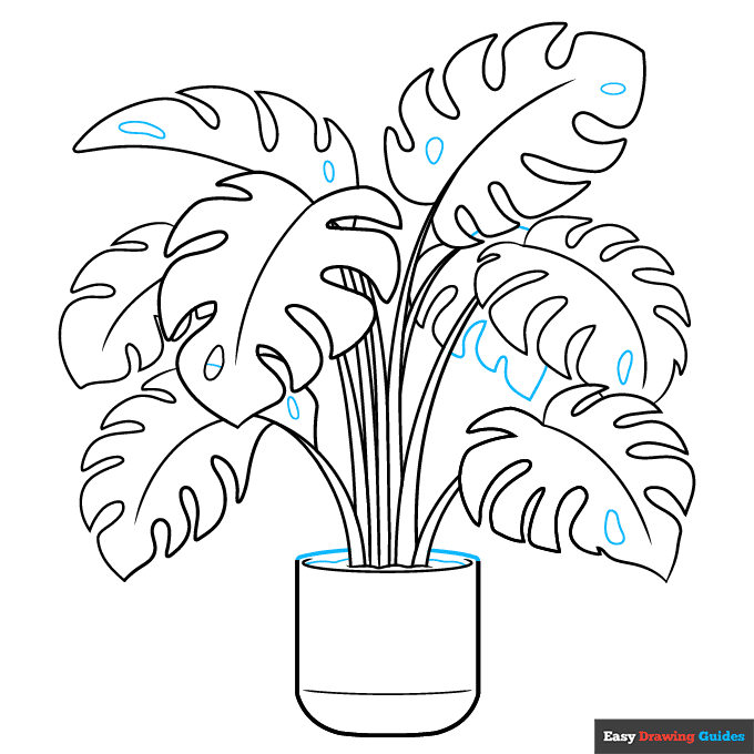 Swiss Cheese Plant step-by-step drawing tutorial: step 9