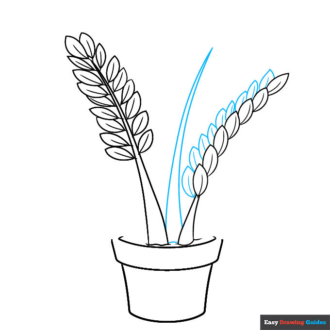 ZZ Plant step-by-step drawing tutorial: step 4