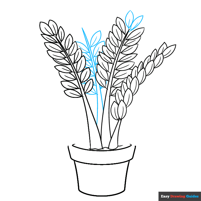 ZZ Plant step-by-step drawing tutorial: step 6