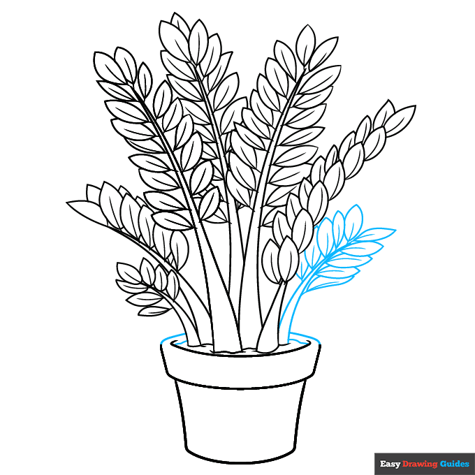 ZZ Plant step-by-step drawing tutorial: step 9