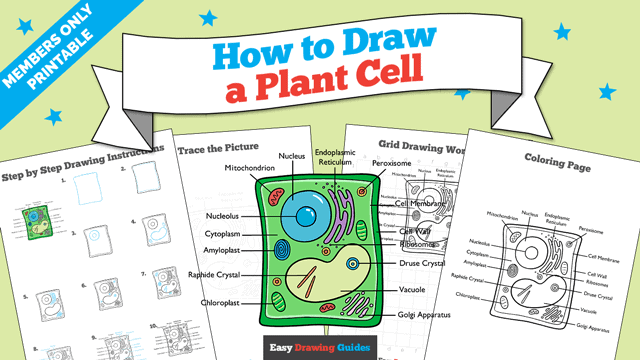 How to Draw a Plant Cell Printable Thumbnail