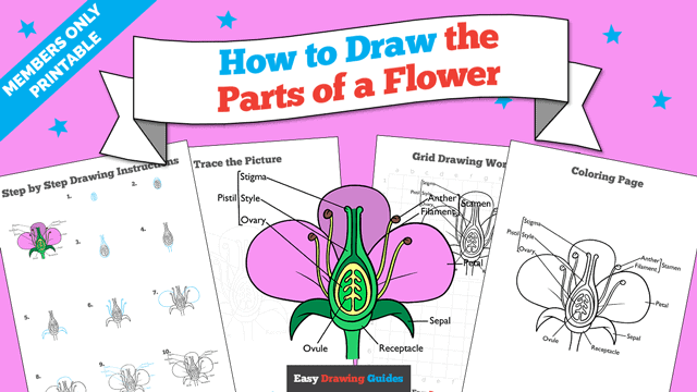 How to Draw the Parts of the Flower Printable Thumbnail