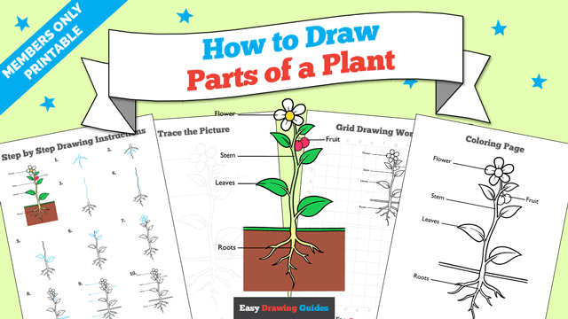 How to Draw Parts of a Plant Printable Thumbnail