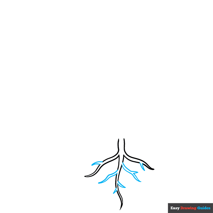 Parts of a Plant step-by-step drawing tutorial: step 2