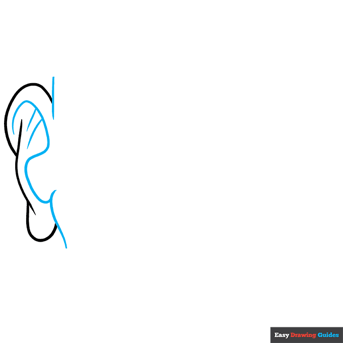 Parts of the Ear for Kids step-by-step drawing tutorial: step 2