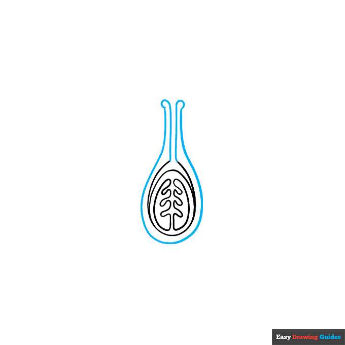 Parts of a Flower step-by-step drawing tutorial: step 3