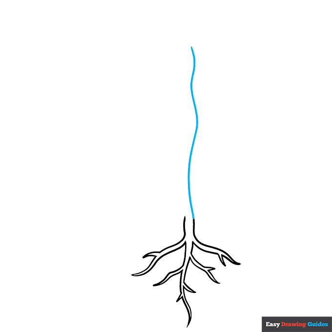 Parts of a Plant step-by-step drawing tutorial: step 3
