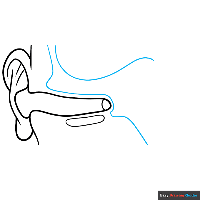 Parts of the Ear for Kids step-by-step drawing tutorial: step 4